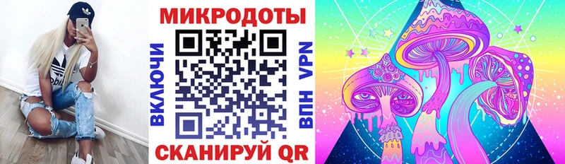 Купить  Почеп  Галлюциногенные грибы MAGIC MUSHROOMS 